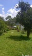 Sagrada familia  - Finca en La Estrella, Antioquia
